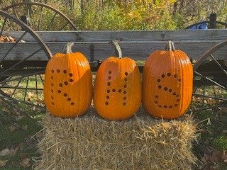 Luminary Walk - RHS Pumpkin